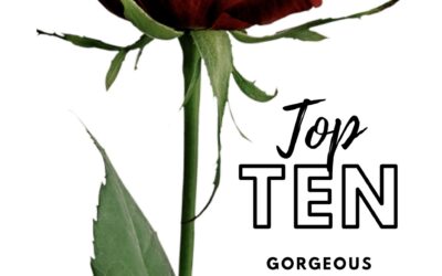 Top Ten Gorgeous Covers
