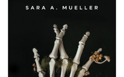 DNF- The Bone Orchard