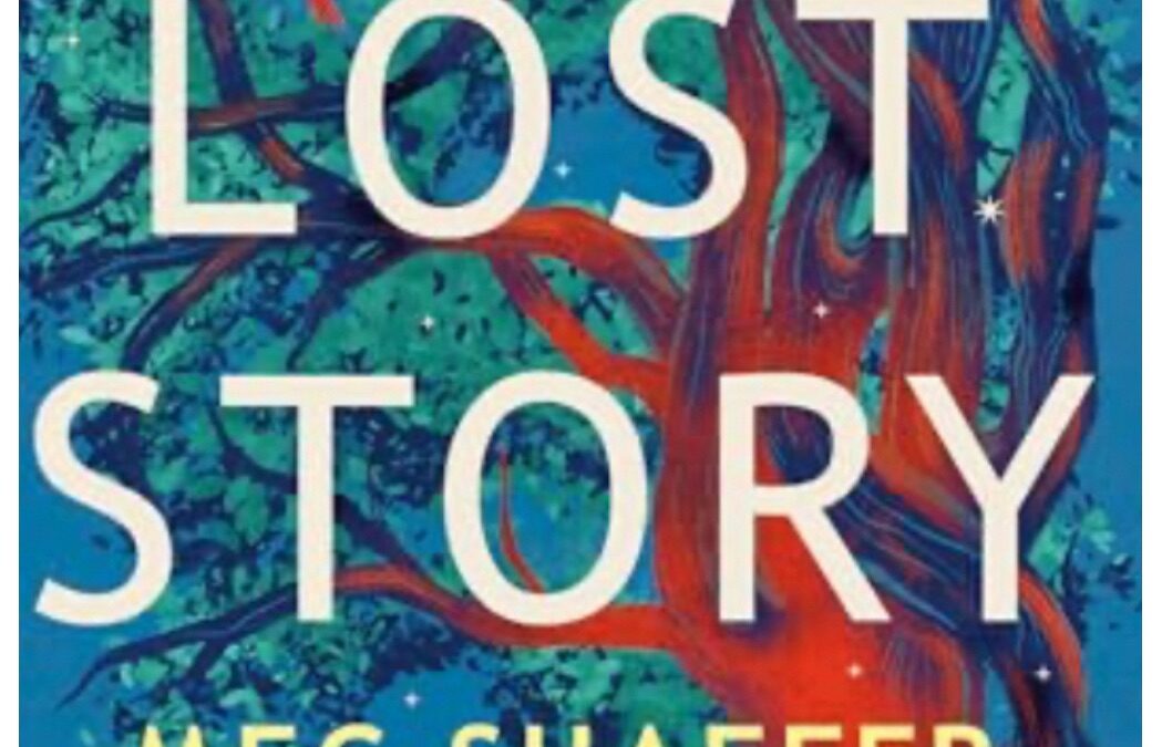 The Lost Story