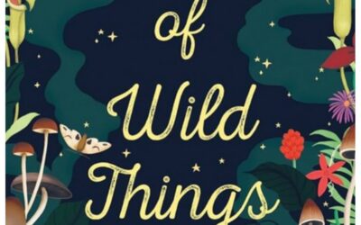 Witch of Wild Things